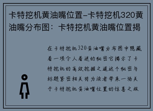 卡特挖机黄油嘴位置-卡特挖机320黄油嘴分布图：卡特挖机黄油嘴位置揭秘：高效挖掘的秘密